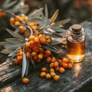 Sea Buckthorn Extract