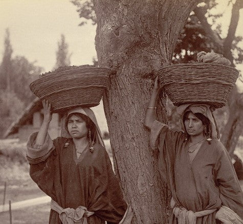 Explore the story behind Melissa Alchemy, inspired by Kashmir, legacy, and modern formulation.