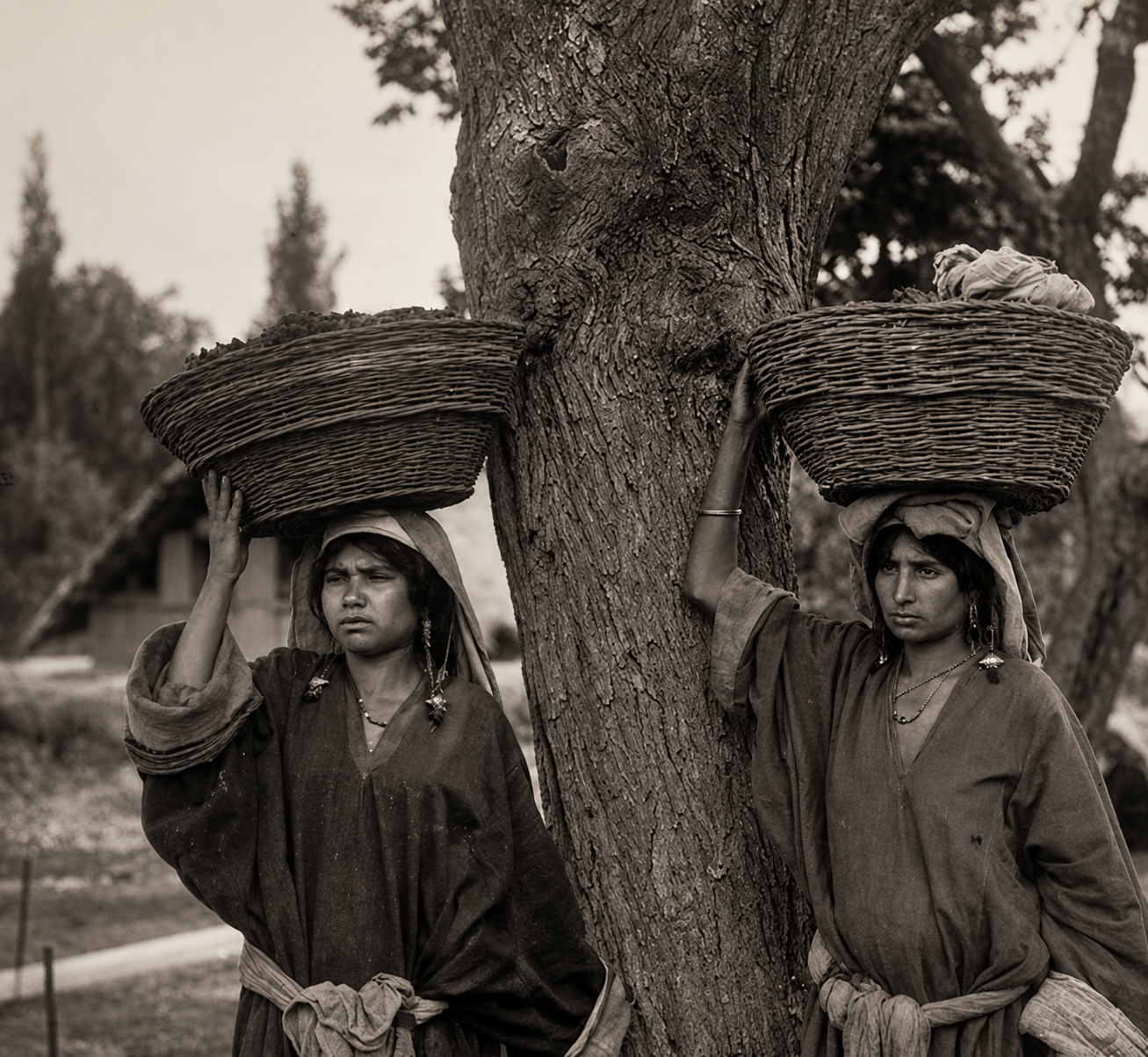 Explore the story behind Melissa Alchemy, inspired by Kashmir, legacy, and modern formulation.