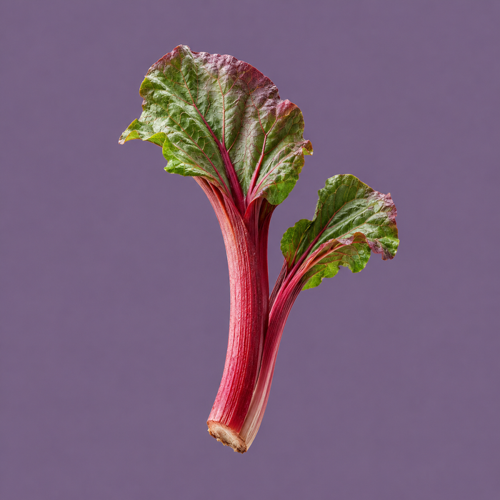 Himalayan Rhubarb