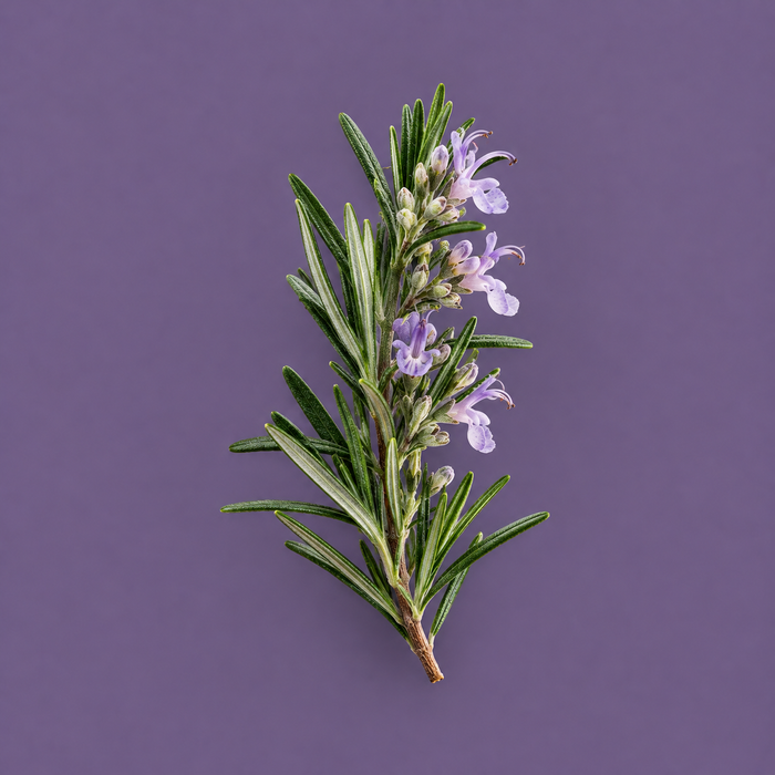 Rosemary