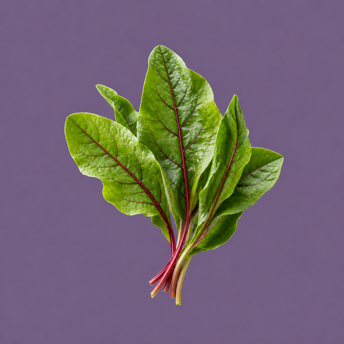 Sorrel